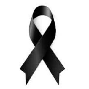 Meet your Posher, Perico